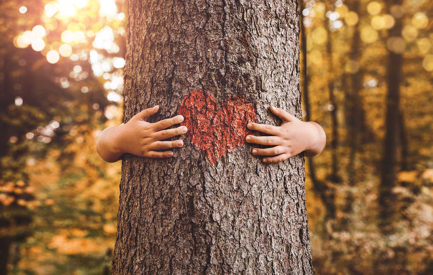 Baum, der umarmt wird. Auf der Rinde befindet sich ein rotes Herz